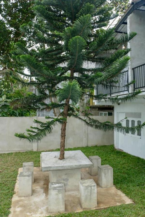 Sadhara River View Lodge Kandy Buitenkant foto